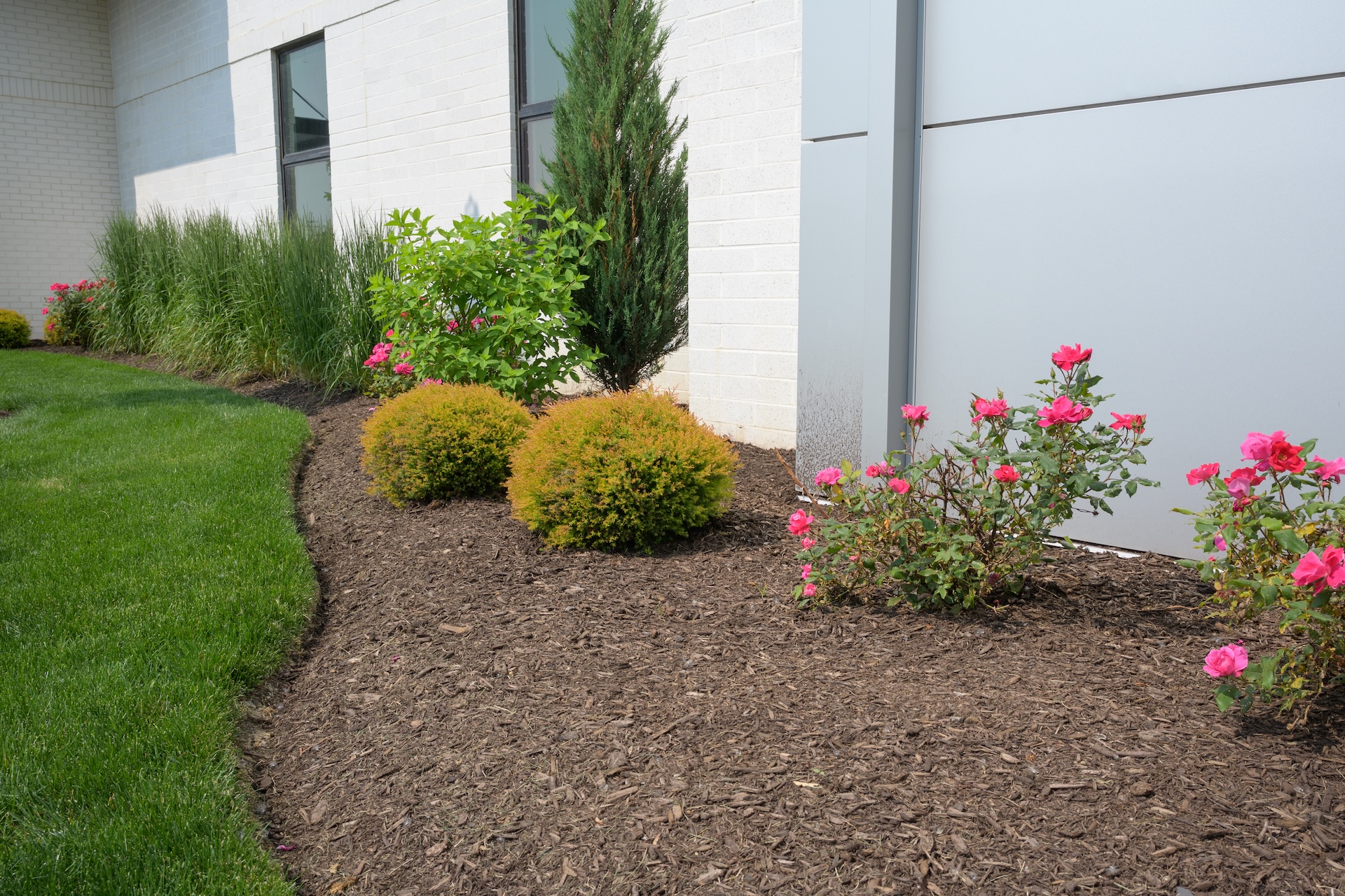 Landscape & Yard Maintenance Image