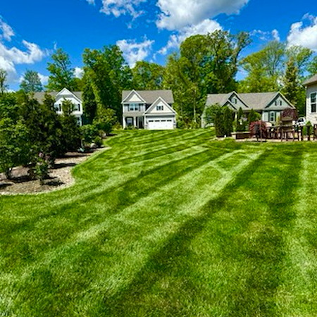 Akron Mowing Schedule: How Often to Cut Your Grass by Season Thumbnail