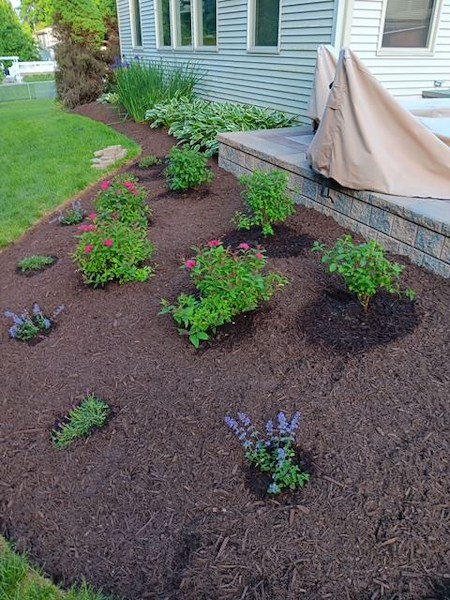 How Much Mulch Do I Need? Simple Mulch Calculator for Beds and Trees