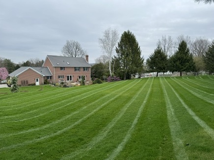 How Often Should You Mow? A Simple Guide for Akron Lawns Thumbnail