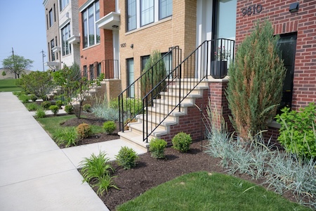 Landscape & Yard Maintenance