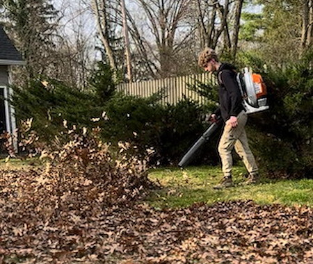 Leaf Removal Image