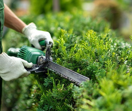 Tree & Brush Care Image