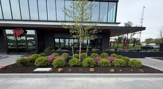 Commercial Tree & Brush Care