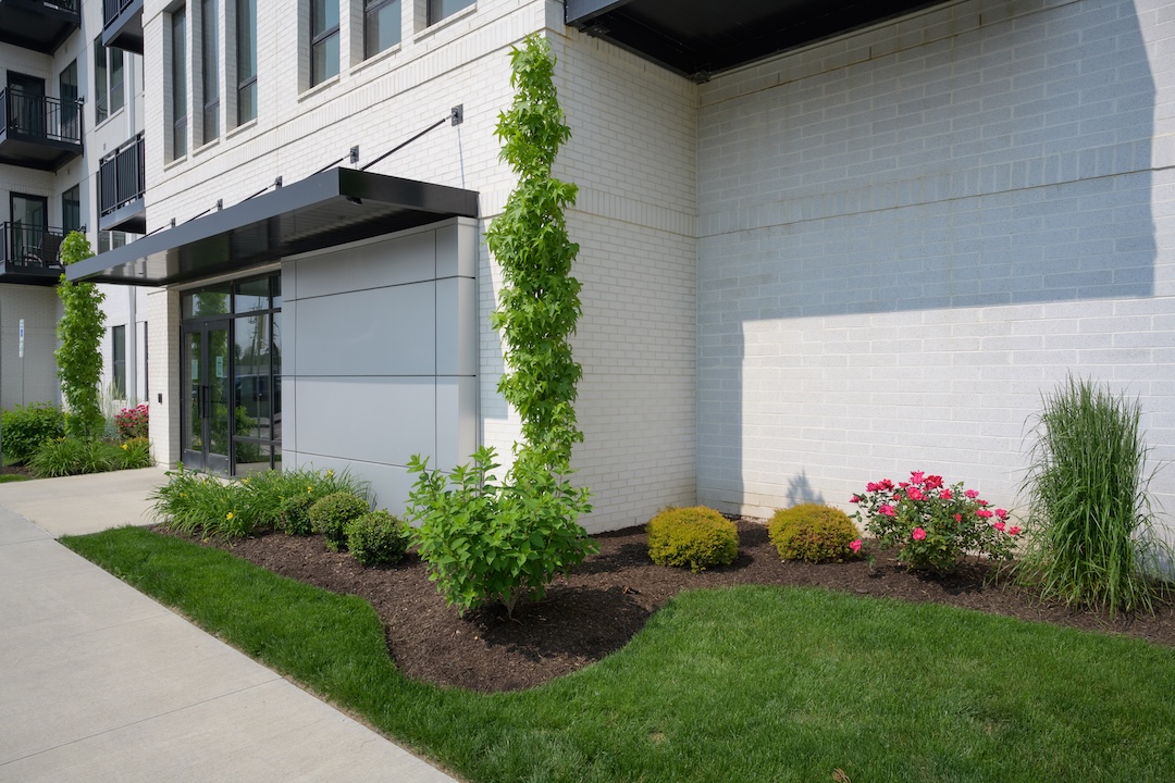 Commercial Pruning Thumbnail