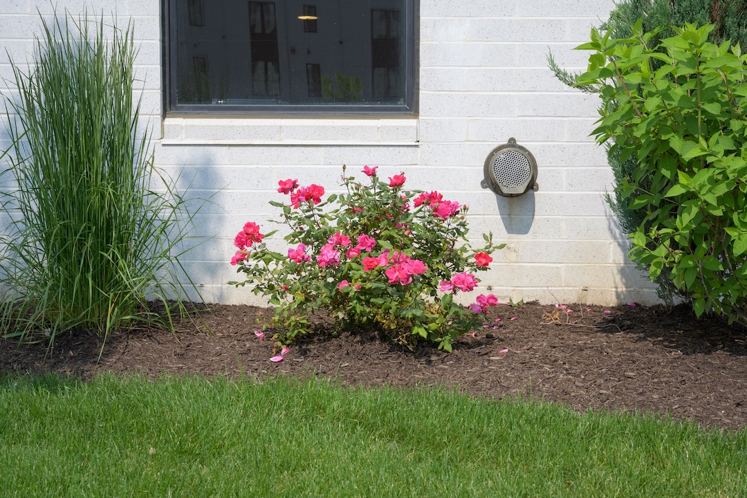 Commercial Flowerbed Installation & Maintenance