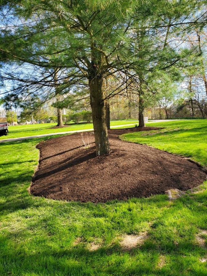 Commercial Leaf Removal
