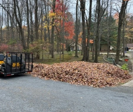 Leaf Removal