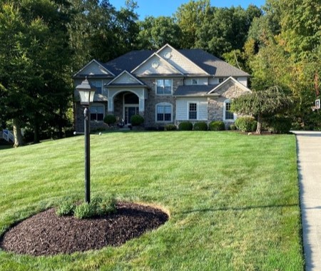 Landscaping & Yard Maintenance Image