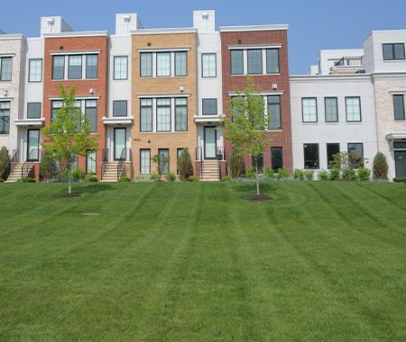 Lawn Mowing Image