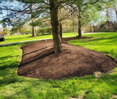 Mulching Image