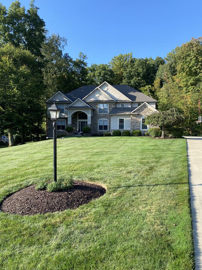 Residential Landscape & Yard Maintenance Thumbnail